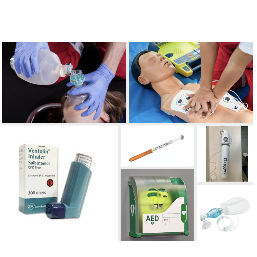 Image representing P261 Medical Emergencies Equipment