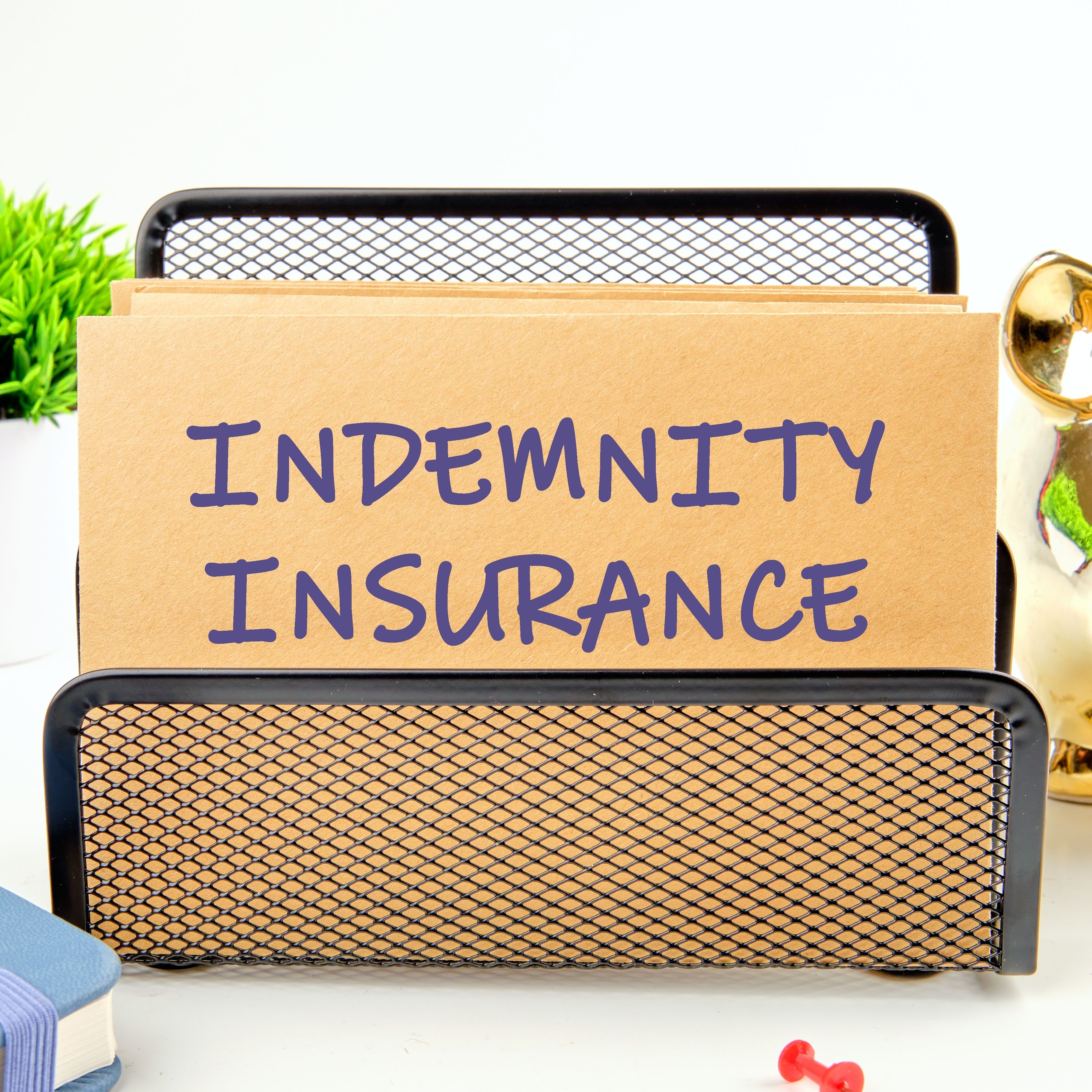 Image representing P378 Indemnity or Insurance: What Does it All Mean?